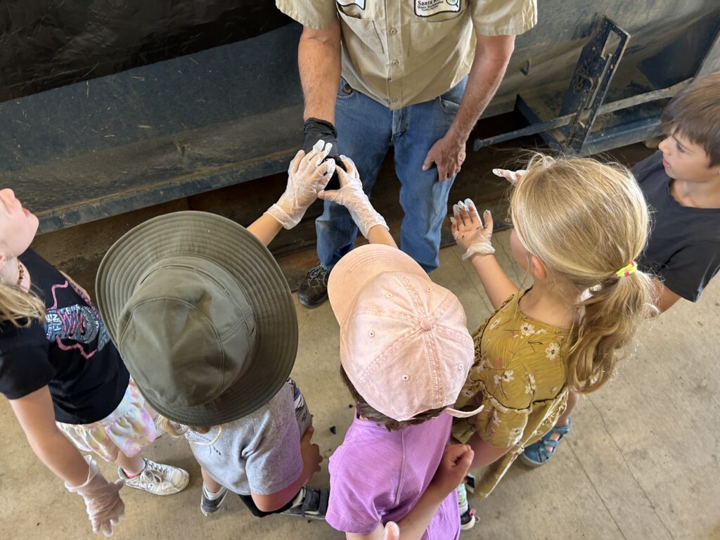 Photo of three children's heads while they touch something in an adult's hands.